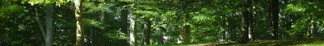 100 % free Gay Chatting Blogs